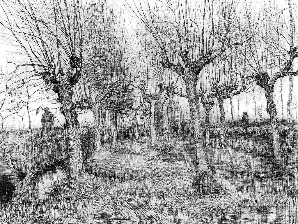 Vincent van Gogh, "Pollard birches." (1884)