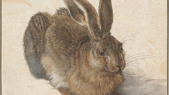 Albrecht Dürer, "Young Hare." (1502)