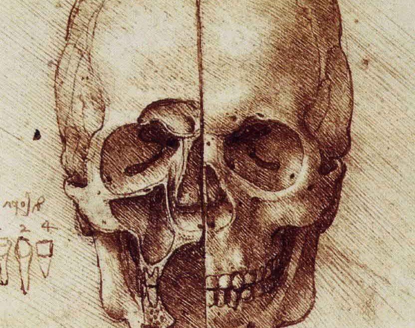 Leonardo da Vinci, Anatomical study of a human skull.